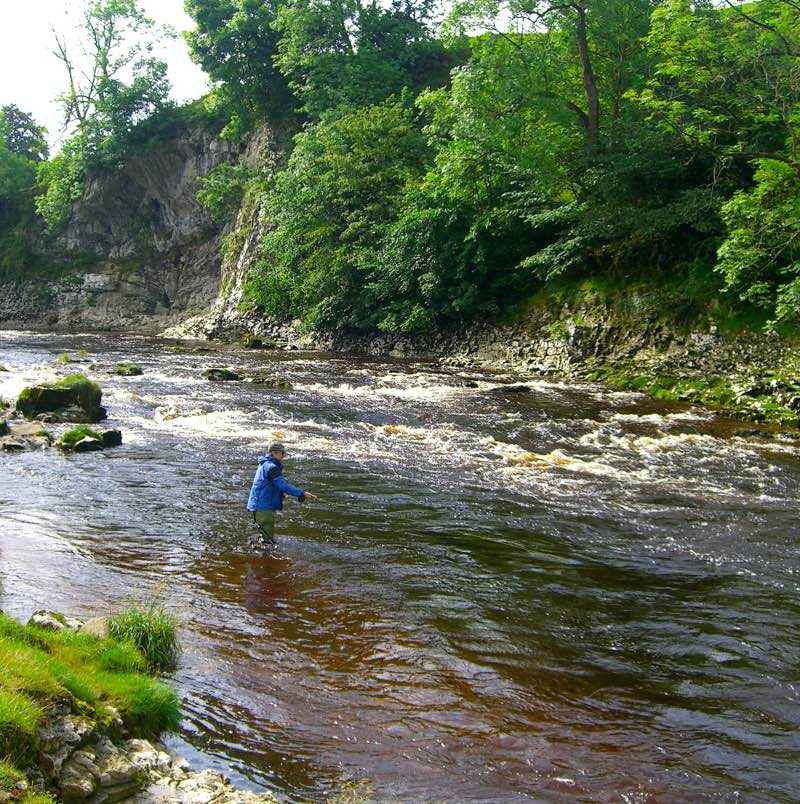 Fly Fishing - River Wharfe, Loup Scar